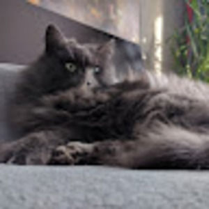 Meet your Posher, Oana